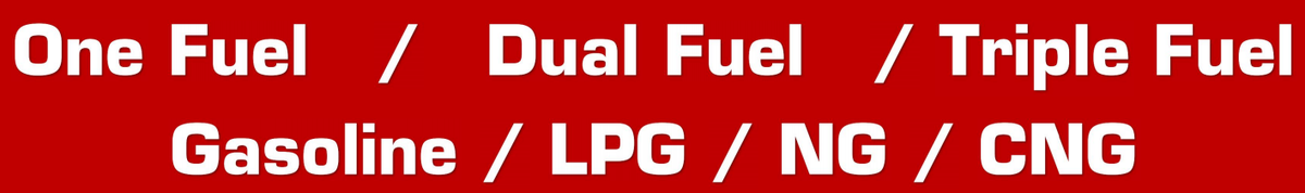 dual fuel gas generator 1 dual fuel gas generator 1